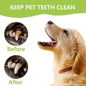 Dental <b>Tools</b> Pet Dog <b>Teeth</b> Cleaner <b>Tool</b> Kit, Stainless Steel Plaque Remover Dental Picks <b>Tooth</b> Tartar Scraper Pet Care - Product Image 4