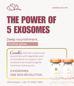 Sérum Camellia Exo No5 30mL Soin nourrissant pour le visage avec peptides et antioxydants pour le renouvellement et l'éclat de la peau - Product Image 1