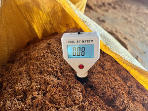 Cepillo de Dientes Desechable de Alta Calidad, Orgánico y Ecológico para Adultos, con Cerdas Suaves, para Viaje, en Caja, ECO2GO |   Venta al por mayor - Product Image 3