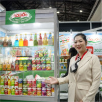 IJsthee drank 500ml PET fles Drinkthee OEM/ODM Fruitthee dranken Aangepaste Private Label Fabrikant Lage MOQ