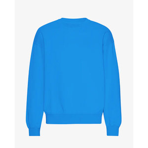 Sudadera Unisex Azul Claro de Cuello Redondo, Corte Regular, Tejido de Algodón, Informal, para Otoño - Product Image 5