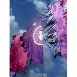 Bandera Personalizada con Estampado de Colores Morado y Rosa, Tipo de Bandera para Exhibición en Exteriores, Banderas Decorativas - Product Image 1