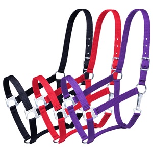 En gros, harnais de cheval en nylon économique, ensemble de têtières réglables sans longe, OEM, marque privée, fabricant direct - Product Image 6