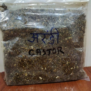 Polvo Estimulante del Crecimiento del Cabello 100% Vegano y Orgánico, Ashwagandha, Bhringraj, Hojas de Curry, Tulsi, para Cabello Dañado, Todo Tipo de Cabello, Crecimiento del Cabello Largo - Product Image 1