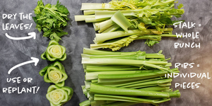 Natural Dehydrated Celery 20kg Carton for <b>Vegetable</b> Processing Soup Mixes and Export - Product Image 4