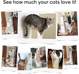 เสาข่วนเล็บแมวสำหรับแมวตัวใหญ่, ที่ข่วนเล็บแมวสำหรับแมวโตเลี้ยงในบ้าน, เสาข่วนทำจากใยไซซอลแข็งแรง - Product Image 3