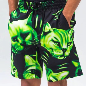 Shorts de bain décontractés pour hommes, imprimé chat vert, séchage rapide, taille à cordon, avec poches, design par sublimation - Product Image 1