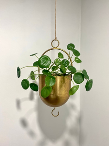 Pot suspendu en métal doré avec anneau circulaire, design moderne, pour plantes d'intérieur, décoration contemporaine pour la maison - Product Image 3