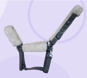 Premium Western Horse <b>Halter</b> with Soft Fleece Padding | Durable PP Nylon Equestrian Gear | Custom Logo OEM Private Label India - Product Image 1