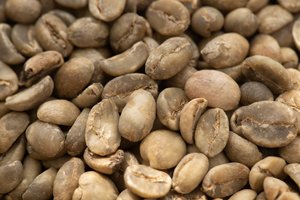 Grains de café vert Robusta vietnamien 100% naturels de qualité supérieure, vente en gros pour la torréfaction de grains de café moulu - Product Image 3