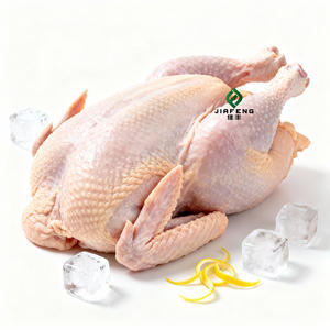<span class=keywords><strong>Poulet</strong></span> entier congelé halal de qualité supérieure, vente en gros avec <span class=keywords><strong>livraison</strong></span> rapide - Product Image 5