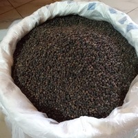 Poivre noir cru séché de haute qualité 500-580 g/L Échantillons gratuits Gingembre Safran Clous de girofle Cardamome Sauge Piment Graines de sésame