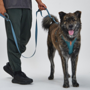 [MUNIKUND] Correa para Perro Trektail Hyper Resistente, Ajustable, Estilo Urbano, con Agarre de Neopreno Suave - Product Image 1