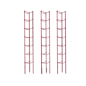 Juego de 3 Soportes para Plantas de Tomate - Product Image 1