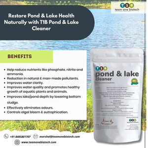 Long Lasting Pond <b>Cleaner</b> & Wash <b>Enzyme</b> Culture for Optimal Clarity - Product Image 3