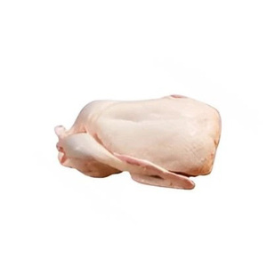 Pato Congelado con Certificación Halal en Venta, Carne de Pato de Alta Calidad para Exportación al por Mayor - Product Image 3
