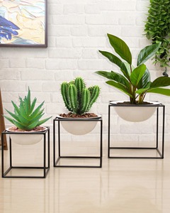 Macetas Decorativas Grandes y Duraderas con Recubrimiento de Polvo de Hierro Ecológico para Jardines Exteriores y Espacios Comerciales - Product Image 3