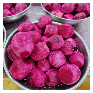 Fruta del Dragón Roja Congelada IQF, preparada a partir de cubos frescos de fruta del dragón para batidos, bebidas de frutas y recetas de postres, Vietnam - Product Image 4