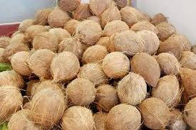 Natural <b>Coconut</b> <b>Husk</b> from Vietnam – Raw Material for Coir Products,High Fiber Content // Mr.Tom - Product Image 5