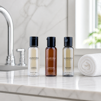 Kit d'articles de toilette hôteliers conformes RoHS, comprenant des flacons de shampoing de voyage, des flacons d'articles de toilette en pierre pour hôtel et des mini-flacons de gel douche