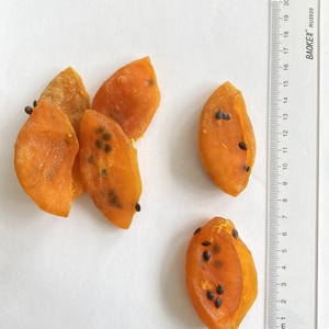 Fruits de la Passion Séchés en Tranches, Snack Sucré Naturel et Sain, du Vietnam, Faible Teneur en Humidité, Emballage en Vrac WA +84 927 257 939 - Product Image 1