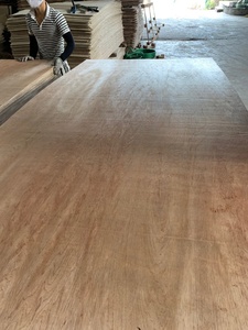 Contreplaqué commercial E2 de style design moderne Bintangor Utilisation extérieure de première classe à prix économique - Product Image 5