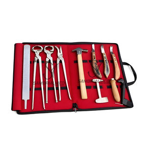 Kit Profesional de Herramientas para Herrador de Caballos de 10 Piezas, Acero Inoxidable J2, Alicates para Pezuñas, Cincher, Raspador, Cuchillo para Pezuñas, Extremo de Latón - Product Image 1