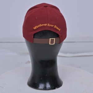 Customized Street Style Casual 6-Panel Unisex Baseball Cap with Teddy Bear Beige Sweater Iron-On Embroidery Four Seasons - Product Image 5