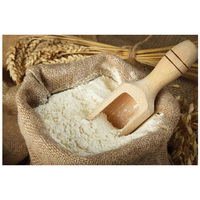 Farine de blé tout usage / Farine de blé pour pain Meilleur prix