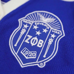 เซต้า |   ฟี |   เสื้อสเวตเตอร์ผู้หญิง Beta Sorority แบบติดกระดุม ลายตราสัญลักษณ์ สีน้ำเงิน/ขาว เสื้อผ้าสมาคมพี่น้องชาวกรีก ปักลายอะคริลิคเชนิลล์ - Product Image 3