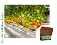 Vente directe d'usine Coir Pith Coco Coir 650 grammes briques pour mélange d'empotage ou jardinage domestique avec la meilleure qualité