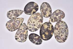 Cabujones de Jaspe Asteroides de Grado Premium para Joyería - Product Image 1