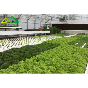 Système de serre aquaponique pour l'élevage commercial de poissons et de légumes, écosystème durable - Product Image 5