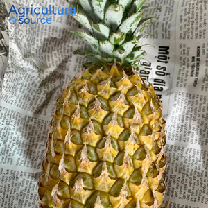 Ananas Queen en gros, fruits frais du Vietnam, taille uniforme, emballage professionnel, partenaire de la chaîne d'approvisionnement mondiale, OEM - Product Image 3