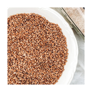 Trigo rojo duro de invierno de primera calidad para suministro al por mayor y mercados de exportación - Product Image 6