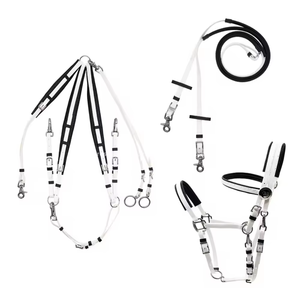 Professional English <b>Style</b> Horse <b>Head</b> Collar High Strength Halter for Jumping and Daily Stable Use Horse <b>Head</b> Collar OEM Service - Product Image 3