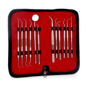 Kit d'hygiène buccale professionnel pour le nettoyage dentaire – Outils en acier inoxydable : cure-dents, miroir, pinces, détartreurs pour éliminer la plaque et les taches de tartre - Product Image 1