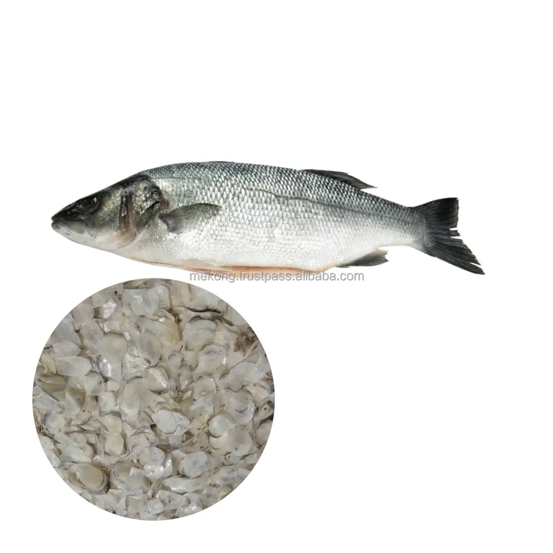 Wholesale Best Quality With Big Size Demineralized Black Tilapia Fish Scale For Pharmaceutical Industries Collagen From Vietnam