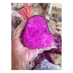 Polvo de Ñame Morado Premium para Smoothies, Helados y Producción de Alimentos Funcionales - Product Image 2