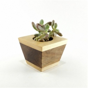 Maceta Moderna Hecha a Mano de Madera para Suculentas, Cuadrada, de Dos Tonos, para Decoración de Escritorio, Oficina y Jardinería Interior - Product Image 1