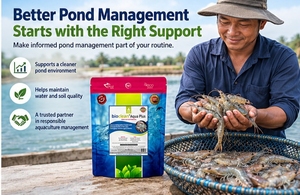 Bioclean Aqua Plus Probiotiques pour l'eau et le sol pour le traitement des étangs d'aquaculture Modèle 001 Origine Maharashtra - Product Image 4
