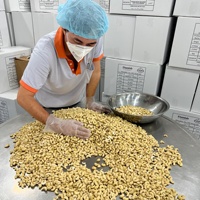 Noix de cajou crues du Vietnam de qualité supérieure noyau de noix de cajou avec le meilleur prix et la meilleure qualité + 84359313086