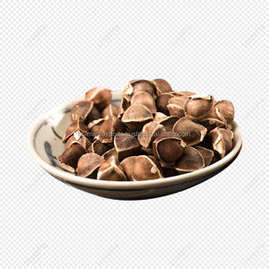 เมล็ดมะรุมสดเกรดดี100% ธรรมชาติได้รับการรับรองว่าปราศจากสารสกัดจากอินเดียสำหรับบำรุงสกัดจากน้ำมันมะรุม - Product Image 5