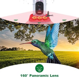 Telecamera per Mangiatoia per Uccelli AI con Visione Notturna, Rilevamento Movimento PIR HD 5MP, Visualizzazione in Tempo Reale, Alimentata a Energia Solare per Giardino Esterno - Product Image 6
