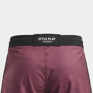Men Breathable Stretch Compression Fit <b>Grappling</b> Kickboxing MMA Training <b>Shorts</b> New Arrival Style MMA <b>Shorts</b> - Product Image 6