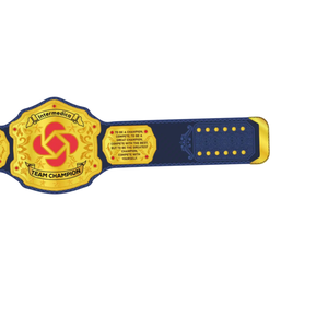 Ceinture de champion personnalisée Intermedica Team, ceinture de titre personnalisée avec un design audacieux pour les équipes et les champions d'entreprise - Product Image 4