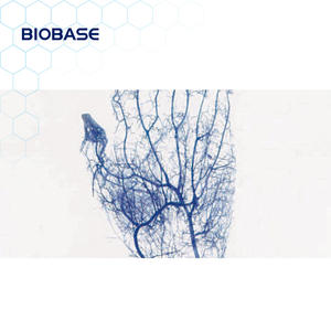 Biobase BK-VIA100 Cina pencari Nadi portabel pabrik rumah sakit penjualan langsung pendeteksi pembuluh darah untuk Lab - Product Image 4