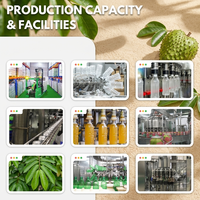 100% Echt Versgeperst Magere Premium Fruit Sap 500ml Blikje Natuurlijke Fruitdrank Met Vruchtvlees Private Label Fabriek Groothandel