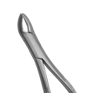 Pinzas de Extracción de Raíces Dentales Superiores de Acero Inoxidable de Alta Calidad con Agarre Ergonómico, Certificación CE, Fuente de Alimentación Manual - Product Image 1