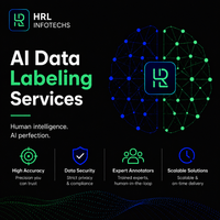 Servicios de Etiquetado de Datos con IA de HRL Infotechs, Anotación de Imágenes, Texto, Audio y Video, 99% de Precisión, Equipo Dedicado Escalable, Aprendizaje Automático